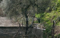 Ribeira de Pena, Vila Real District