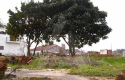 Bustos, Aveiro District