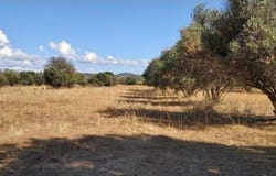 Paderne, Algarve