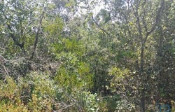 Ferreira do Zêzere, Santarém 2240-300