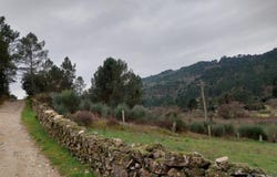 Chaves, Vila Real District 5425-401