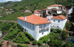 Vila Real, Vila Real District