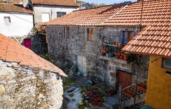 Vila Real, Vila Real District 5470