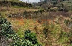 Paderne, Viana do Castelo District