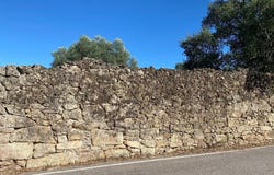 Castelo Branco, Castelo Branco District