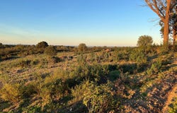 Sobral da Adiça, Beja District