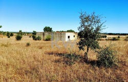 Palmela, Setubal