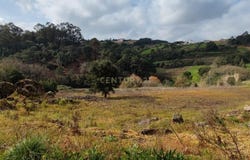 Carvalhal Benfeito, Leiria District