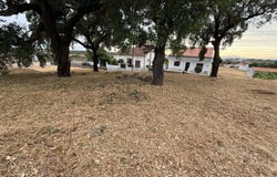 Tinalhas, Castelo Branco District