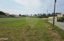 Torreira, Aveiro District