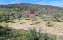 Guarda, Guarda District