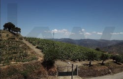 VILAROUCO, Viseu District