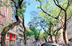 Avenidas Novas, Lisbon