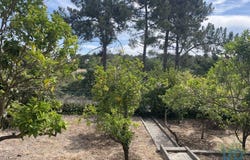 Setúbal, Setubal