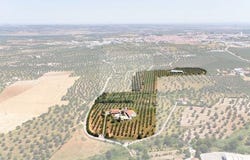 Moura, Beja