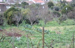 Portimão, Algarve 8500