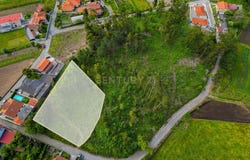Palmeira de Faro e Curvos, Braga
