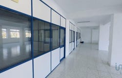 Setúbal, Setubal