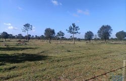 Montijo, Setúbal 2985-204