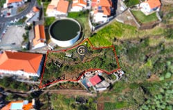 Ilha da Madeira, Madeira