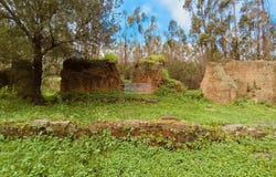 Monchique, Algarve 8550