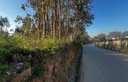 Branca, Aveiro District