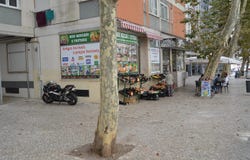 Benfica, Lisbon
