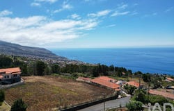 Ilha da Madeira, Madeira