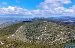Odemira, Beja 7630-704