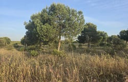 Ourique, Beja District 7670