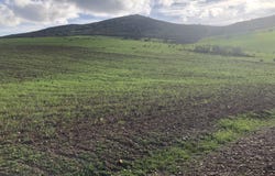 Mértola, Beja District