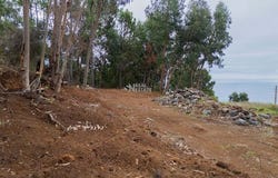 Calheta, Ilha da Madeira