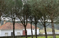 Oiã, Aveiro District