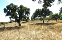 Monte Claro, Portalegre District