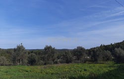 Carvalhal, Santarém District