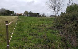 Cacia, Aveiro District