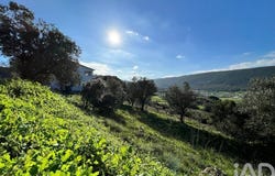 Leiria, Leiria District