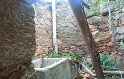 Salgueiro do Campo, Castelo Branco District