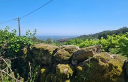 Tondela, Viseu District