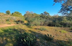 Ferreiras, Algarve