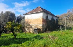 Pombal, Leiria District