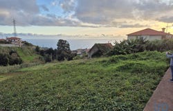 Ilha da Madeira, Madeira