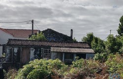 Piedade, Autonomous Region of the Azores 9930