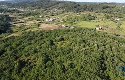 Ferreira do Zêzere, Santarém 2240-102
