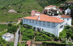 Vila Real, Vila Real District