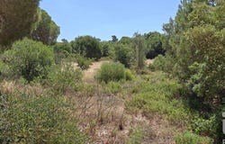 Quarteira, Algarve 8125-507