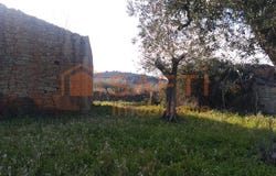 Vale do Côa, Guarda District