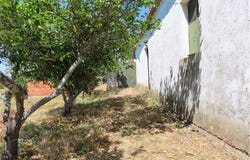 Idanha A Nova, Castelo Branco District