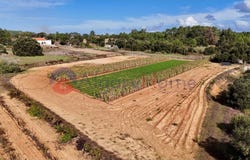 Rogil, Algarve 8670