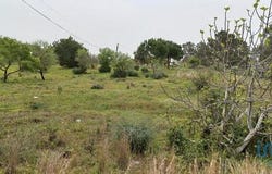 Loulé, Faro 8125-010